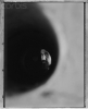 Серж Танкян (Serj Tankian)