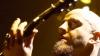 The FOREST Project:   (Shavo Odadjian)