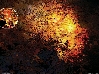 14я страница книги Сержа Танкяна "Glaring Through Oblivion"