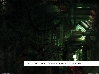 17я страница книги Сержа Танкяна "Glaring Through Oblivion"