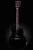 Serj Tankian Signature Model T5 (STSM-T5)